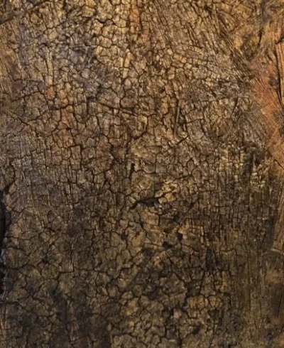 Maler in der Nähe Zürich