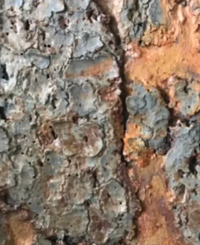 Malergeschäft zürich arbeiten