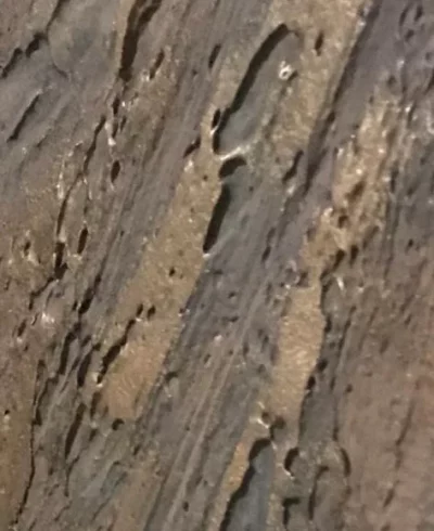 Malergeschäft Winterthur